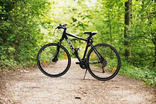 Mountain biker riding through golden autumn forest trail