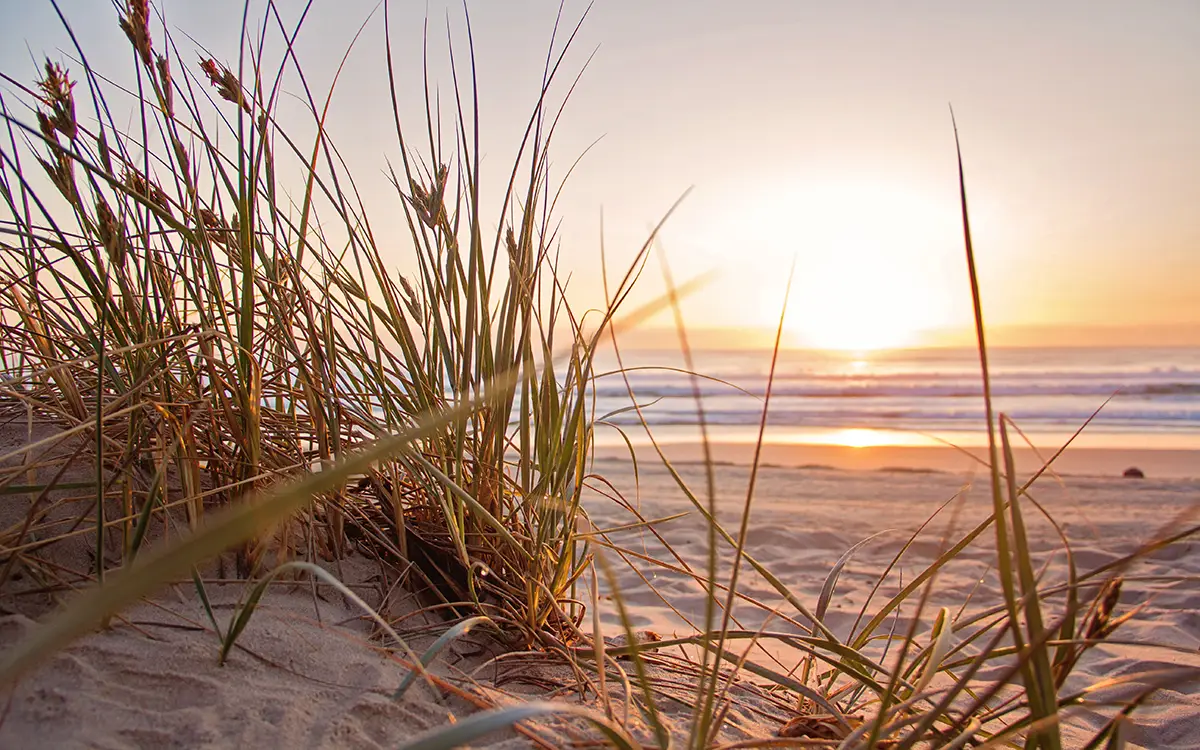 Summer beach in sun set