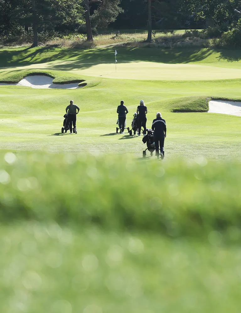 Fyra golfspelare på väg mot green, fotade bakifrån. Smaragdgrönt gräs, vita bunkrar och lummig skog.