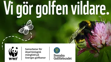 Blomma, humla och logga med SGF och WWF