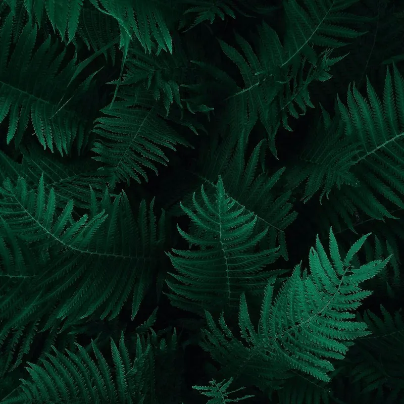 Vibrant street art mural