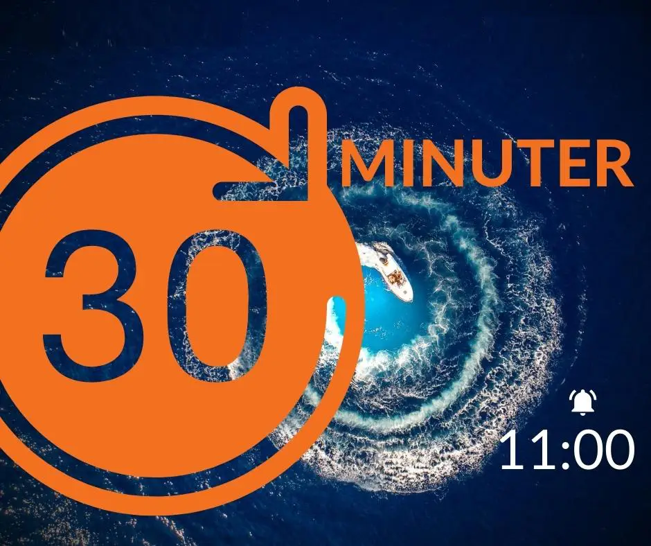 Webinarium 30 min