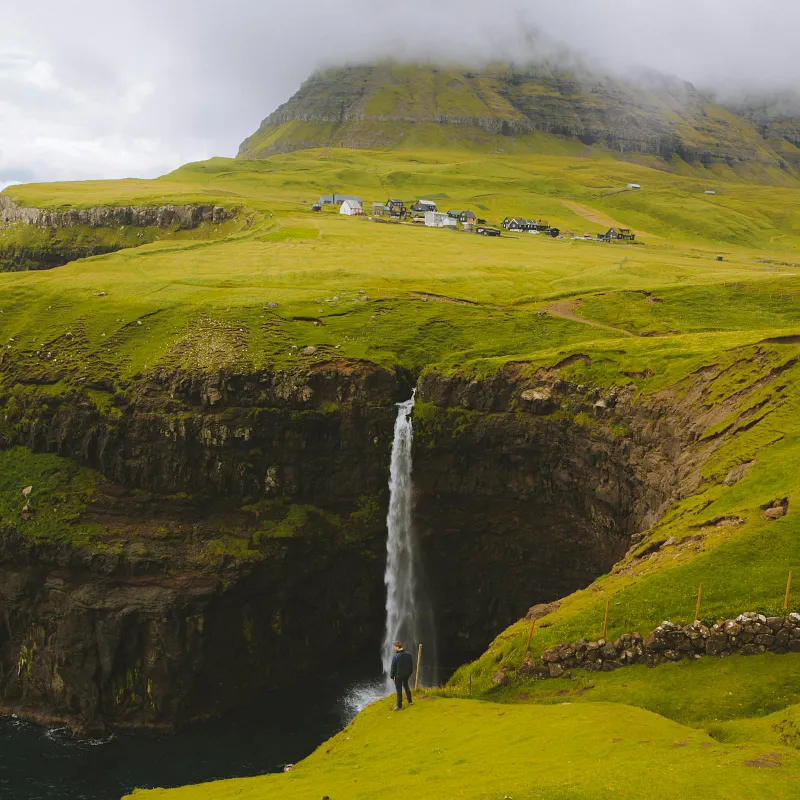 Forest path with sunlight filtering through trees